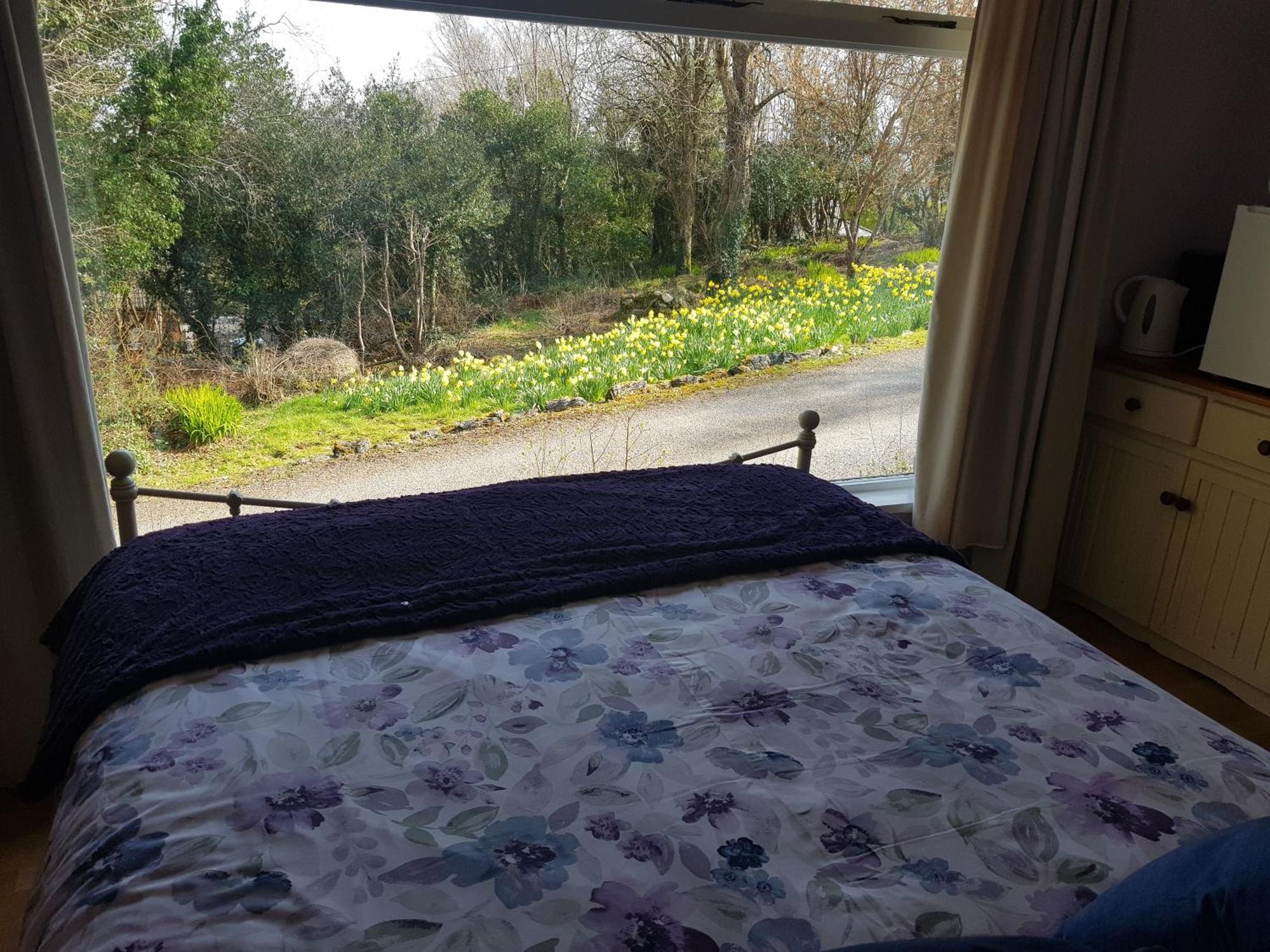 Hollybanks Διαμέρισμα Moycullen Δωμάτιο φωτογραφία